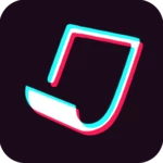 Logo of WallPaper for TikTok android Application 